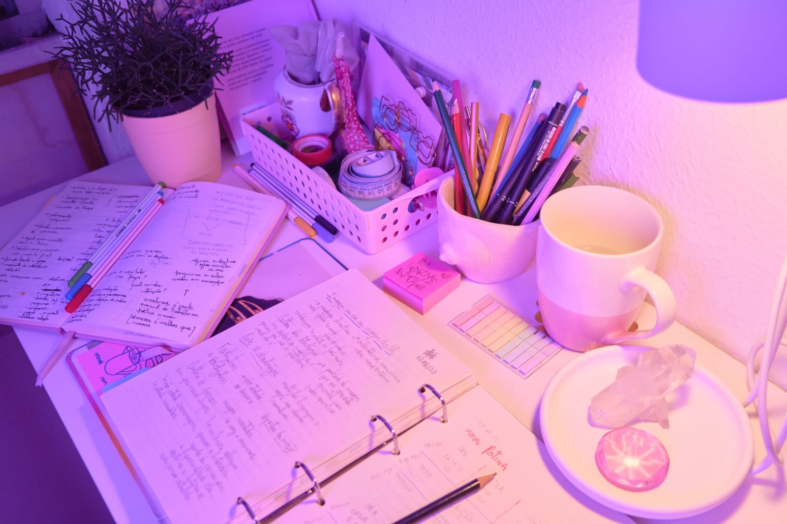 Study notes