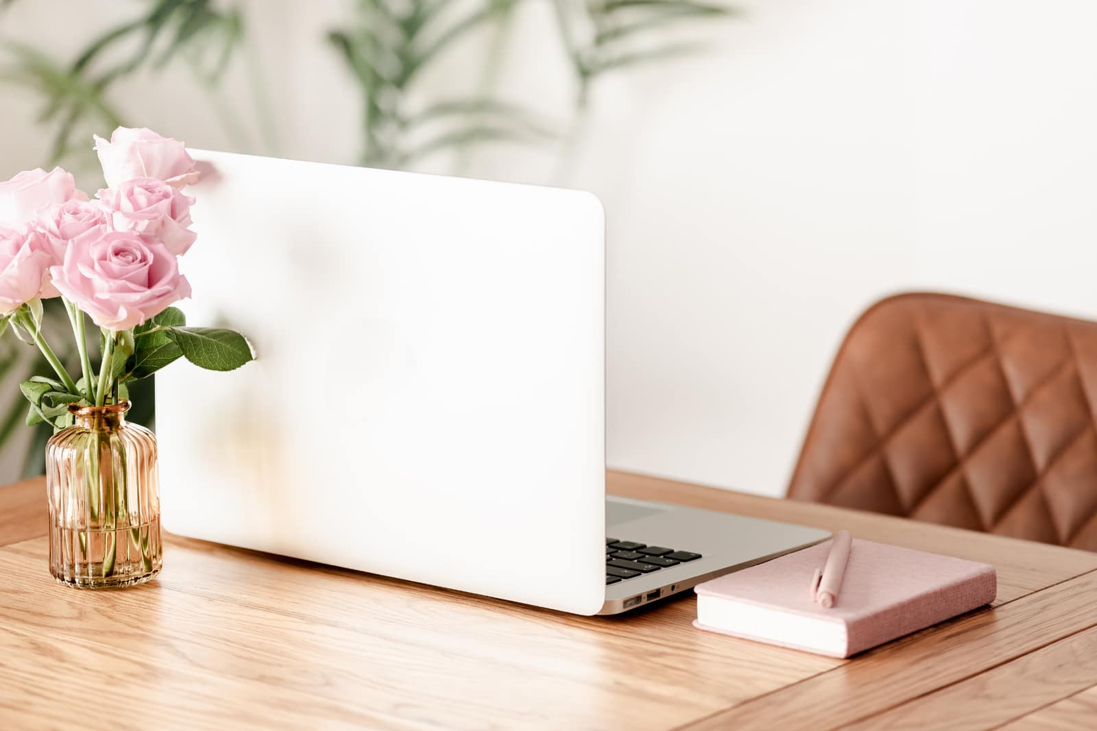 Laptop searching for canva product ideas