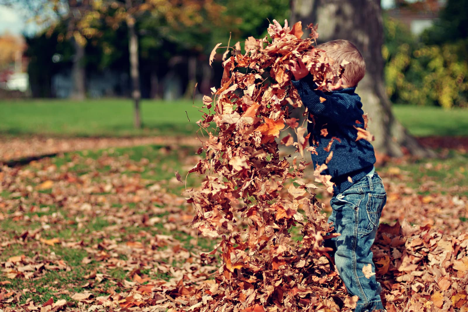 Fall Activities for Introverts: Cozy Ways to Enjoy the Season Your Way